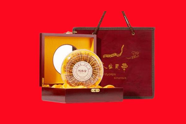 防城港市回收冬虫夏草.jpg